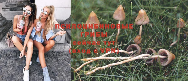 мескалин Балахна