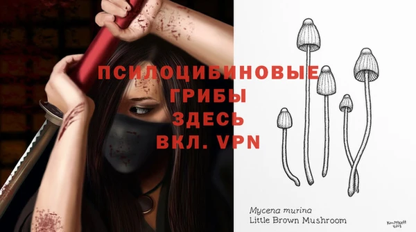 мескалин Балахна