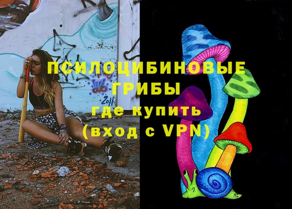 СК Горно-Алтайск